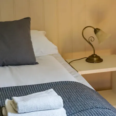 Hotel Vik *